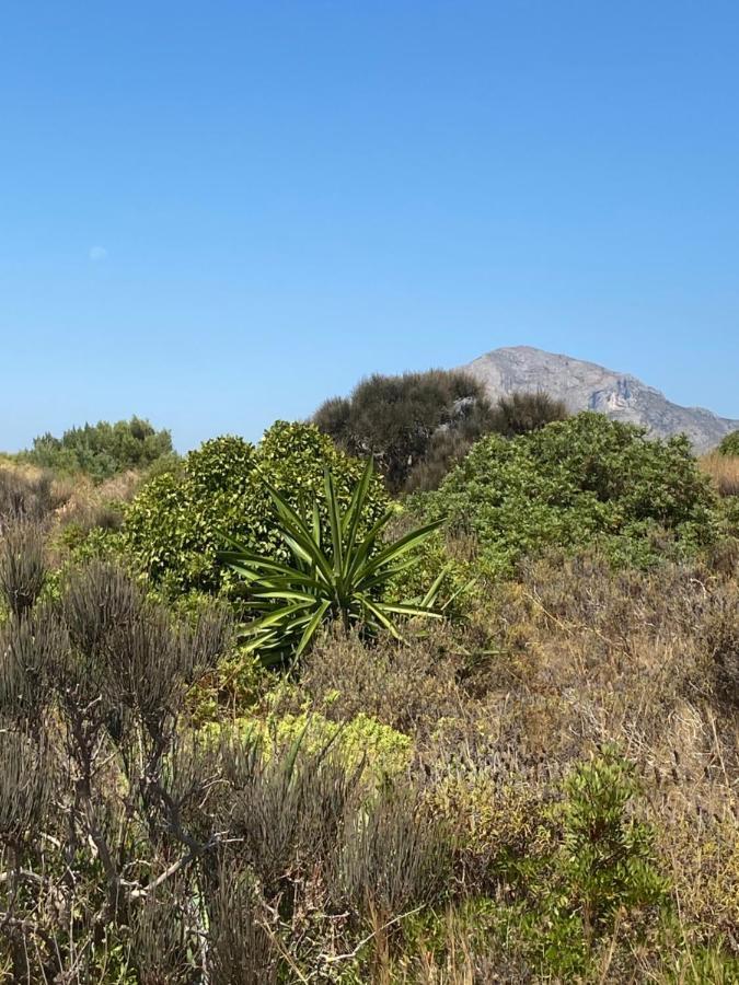 Vistas Al Mar Playa De Los Bovetes Denia Exteriér fotografie